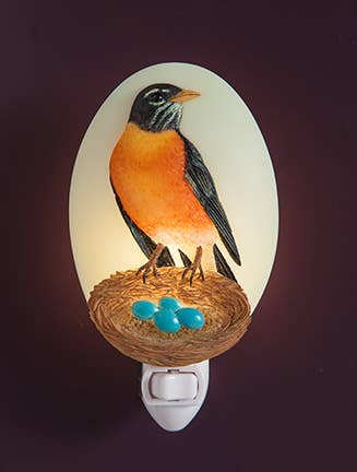 https://cdn.shopify.com/s/files/1/0016/1300/4872/products/faire-ibis-and-orchid-design-night-light-robin-with-nest-night-light-handpainted-by-ibis-and-orchid-39041987248366.jpg?v=1731074560